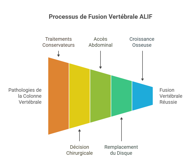 Guide Complet et Détaillé de la Chirurgie d'Arthrodèse Lombaire par Voie Antérieure (ALIF) visual selection