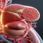 découvrez l'importance de la décompression neurovertébrale dans le parcours de soin, une technique clé pour soulager les douleurs nerveuses et améliorer la qualité de vie des patients.