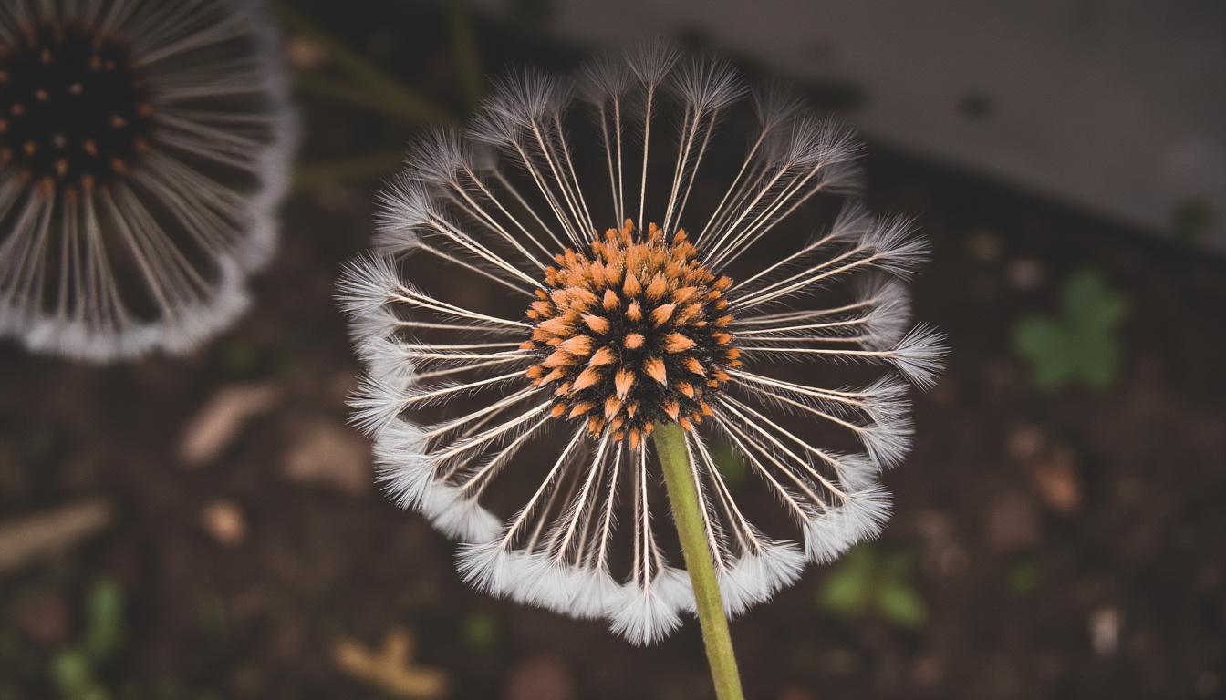 découvrez un comparatif international mettant en lumière les témoignages authentiques de patients en convalescence, pour mieux comprendre leurs expériences et parcours de rétablissement.